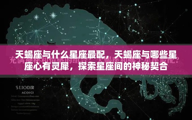 贵出贱收 第5页