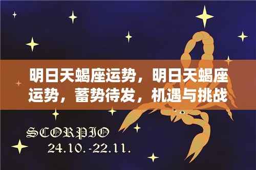 明日天蝎座运势,蓄势待发,机遇挑战并存的日子