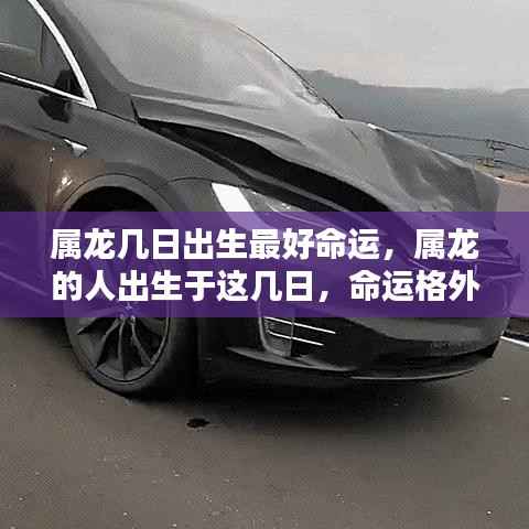 属龙最佳出生日期揭秘,这几日出生的人命运格外优越!