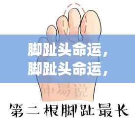 脚趾头命运,探索星座运势中的微妙暗示