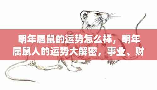 集腋成裘 第4页