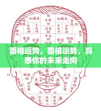 面相运势揭秘,洞悉未来走向,掌握命运之舵