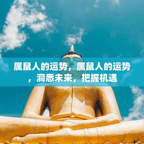 属鼠人的未来运势展望,洞悉机遇,把握命运之路