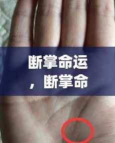揭秘断掌命运,手相特殊纹路与人生轨迹交汇点探索