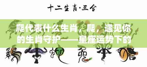 星座运势下的生肖奇缘,爬,遇见你的生肖守护