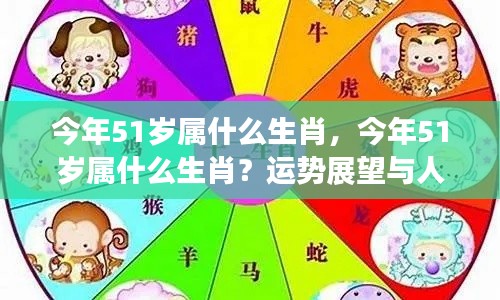 今年51岁属生肖运势展望与人生指引,洞悉运势,指引未来之路。