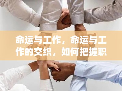 命运与工作,如何把握职场命运之轮?