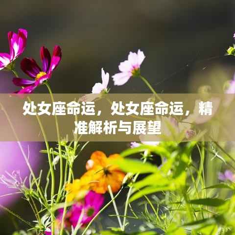 处女座命运,处女座命运,精准解析与展望