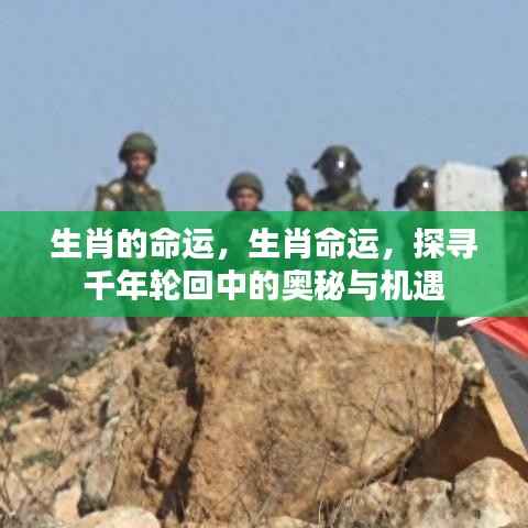 生肖命运奥秘探寻,千年轮回中的机遇与挑战