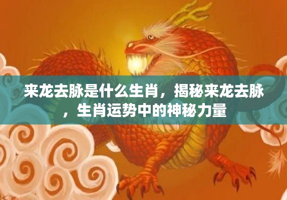 来龙去脉揭秘,生肖运势中的神秘力量
