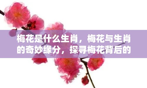 梅花背后的生肖印记,生肖与梅花的奇妙缘分探索