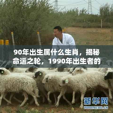 1990年出生者的生肖运势揭秘,命运之轮与生肖运势解析