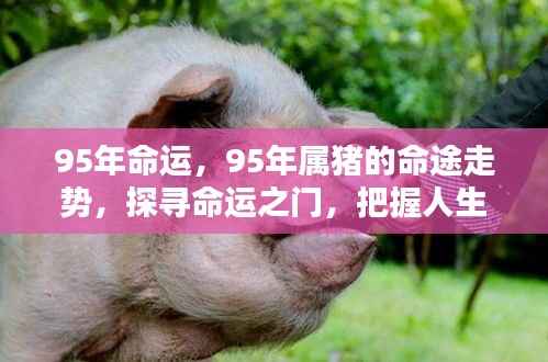 揭秘命运之门,探寻属猪人在命运走势中的机遇与挑战