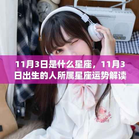 11月3日出生者的星座运势解读,揭秘天蝎座特性与运势展望