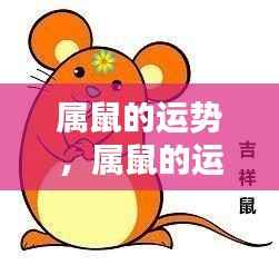 属鼠运势揭秘,洞悉未来,把握机遇大揭秘