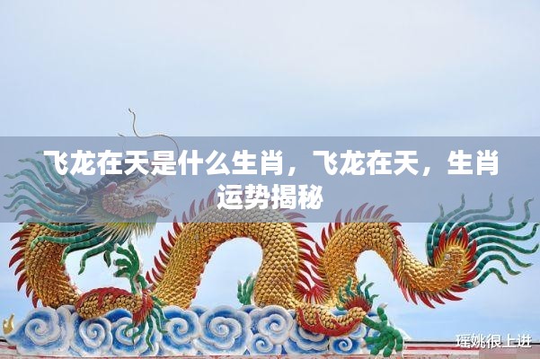 飞龙在天,揭秘生肖运势与神秘生肖关联