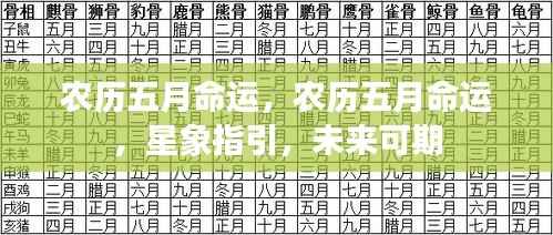 省吃细用 第4页