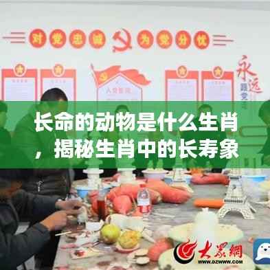 揭秘长寿生肖,探寻生肖中的寿星象征与动物界的长寿代表