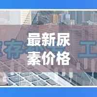 最新尿素价格行情,最新尿素价格行情分析,市场动态及未来趋势展望