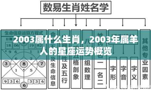2003年属羊人的星座运势概览及生肖属性解析