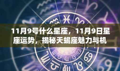 专题 第219页