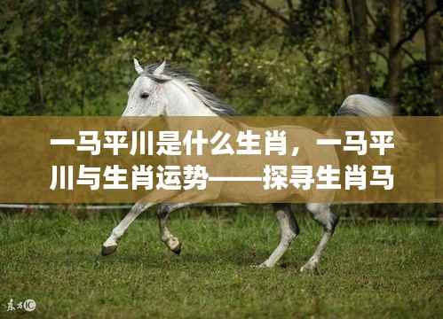 探寻生肖马的不凡之旅,一马平川的运势与奥秘