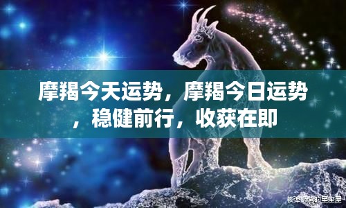 摩羯今日运势,稳健前行,收获在望