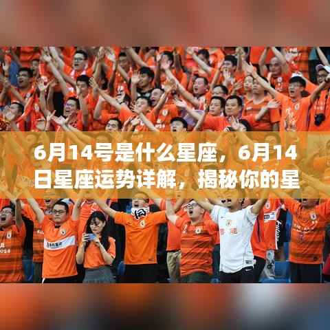 6月14日星座运势揭秘,性格特质与未来走向探索