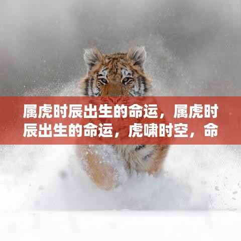 属虎时辰出生的命运解析,虎啸时空下的独特命运走势