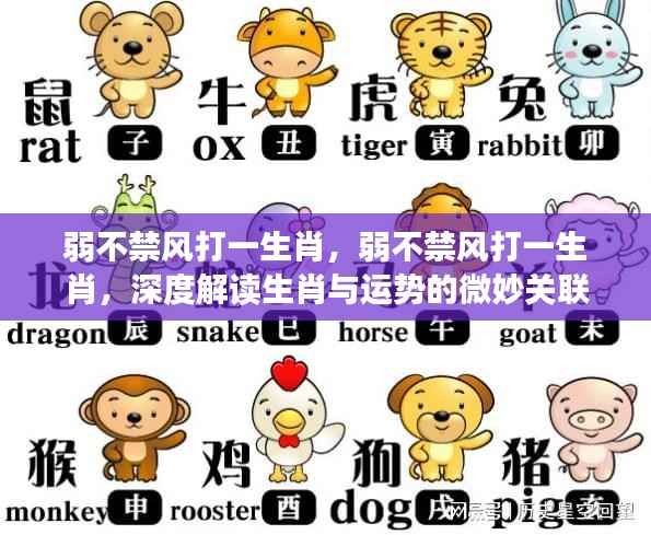 弱不禁风打一生肖,深度探索生肖运势的奥秘关联