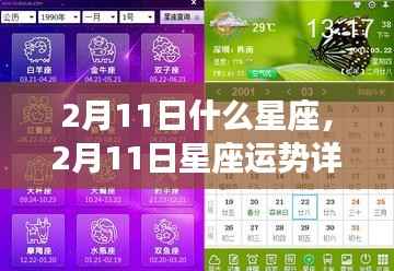 揭秘,2月11日星座性格与运势详解,掌握未来走向!
