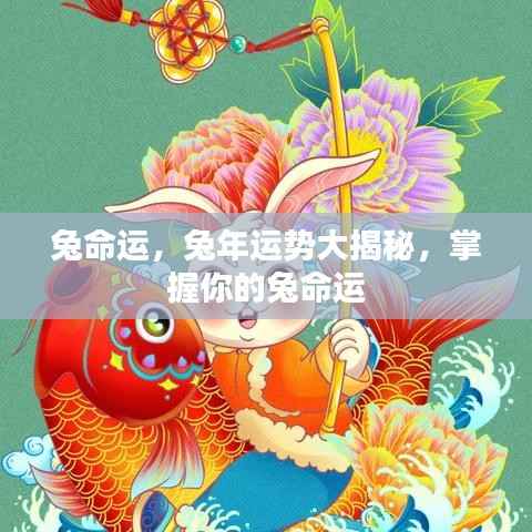 兔年运势揭秘,掌握你的兔命运运势大解密