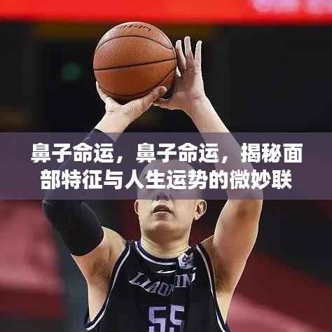 揭秘鼻子命运,面部特征与人生运势的微妙关联