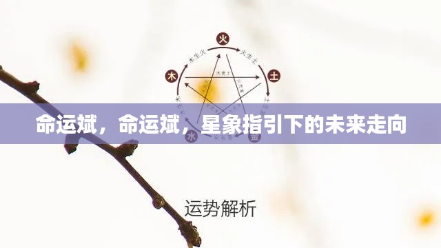 星象指引,命运斌的未来走向探索