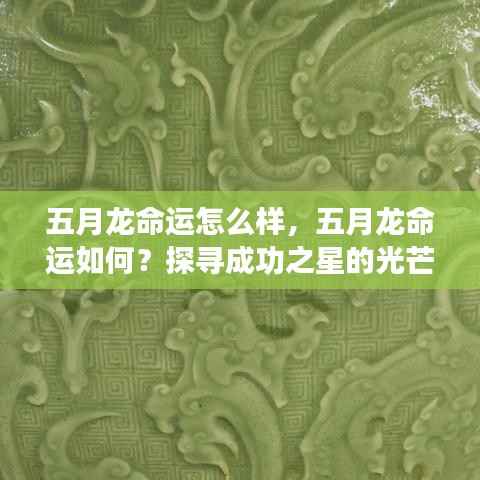 五月龙运势揭秘,探寻成功之星的光芒轨迹与命运走向