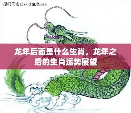 龙年后生肖运势展望,揭秘下一个生肖的运势与特点