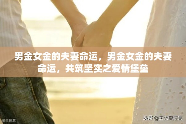 男金女金的夫妻命运,共筑坚实的爱情堡垒,揭示命运中的契合与挑战