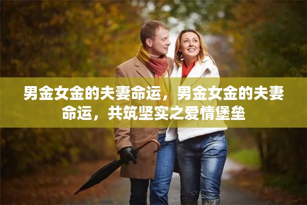 男金女金的夫妻命运,共筑坚实的爱情堡垒,揭示命运中的契合与挑战