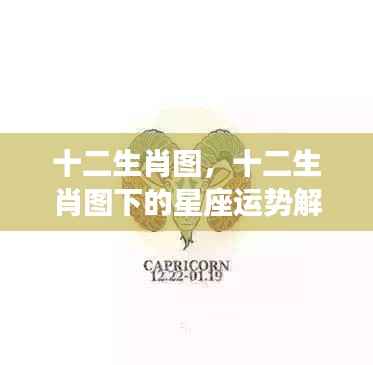 十二生肖图与星座运势解析揭秘