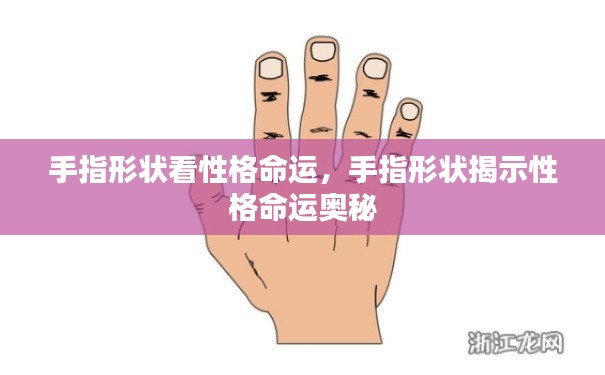 手指形状揭示性格命运奥秘探索