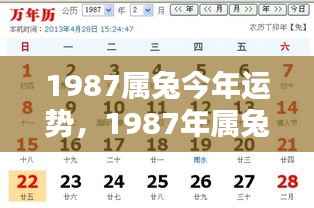 1987年属兔人今年的运势概览及分析