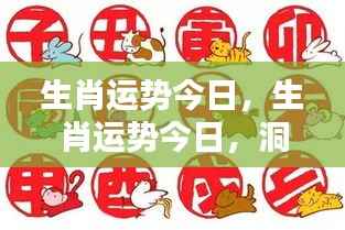 今日生肖运势详解,高峰与低谷洞悉