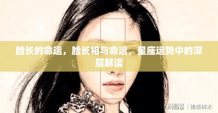 星座运势揭秘，脸型与命运之间的深层联系解读