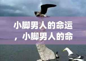 小脚男人的命运,星座运势下的独特人生轨迹探索