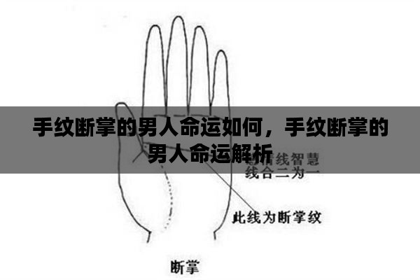 手纹断掌的男人命运解析,揭示命运走向与性格特质