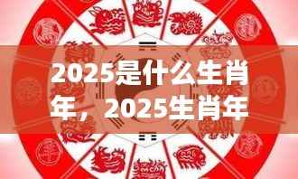 2025生肖年运势展望,探寻未来幸运密码