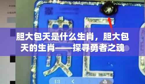 胆大包天的生肖,勇者之魂的探寻