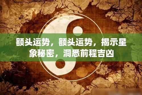 额头运势揭秘,星象秘密与未来前程吉凶解读