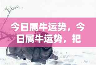 今日属牛运势详解,把握机遇,迎接挑战的挑战