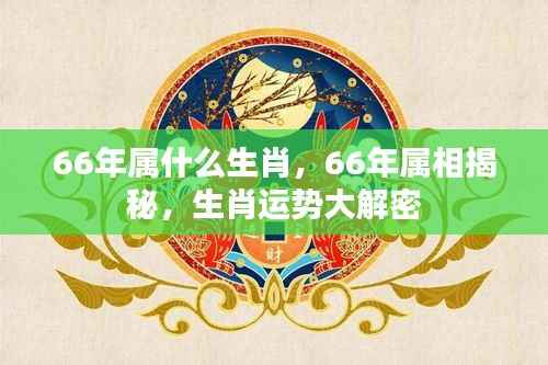 揭秘生肖运势,揭秘属相命运与生肖运势解析(属相揭秘系列)